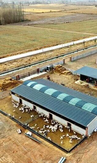 Livestock farm roofing corrosion